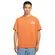 Camiseta Nike SB Logo Masculina