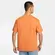 Camiseta Nike SB Logo Masculina