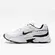 Tênis Nike Initiator Masculino