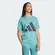 Camiseta Adidas Essentials Big Logo Masculina
