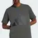 Camiseta Adidas Essentials Big Logo Masculina