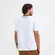 Camisa Botafogo Braziline Bens Masculina