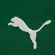 Camisa Puma Palmeiras Home 2025 Torcedor Masculina
