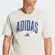 Camiseta Adidas Grafica Collegiate Linear Masculina