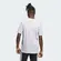 Camiseta Adidas Gráfica Varsity Crest Masculina