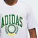 Camiseta Adidas Gráfica Varsity Crest Masculina