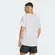 Camiseta Adidas Adi365 Corrida Climacool Masculina