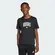Camiseta Adidas Collegiate Graphic Tee Kids Infantil