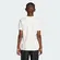 Camiseta Adidas Collegiate Graphic Tee Kids Infantil