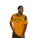 Camiseta Braziline Brasil Dengo Masculina