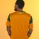Camiseta Braziline Brasil Dengo Masculina