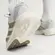 Tênis Adidas Adizero EVO SL Woven Masculino