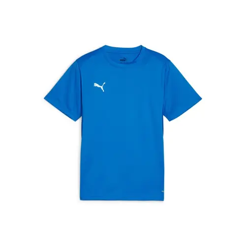 Camiseta Puma Teamgoal Jersey Infantil