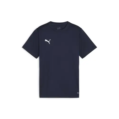 Camiseta Puma Teamgoal Jersey Infantil