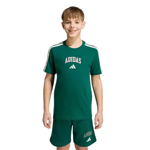 Camiseta Adidas Collegiate Graphic Boys Infantil