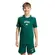 Camiseta Adidas Collegiate Graphic Boys Infantil