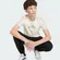 Camiseta Adidas Collegiate Graphic Boys Infantil