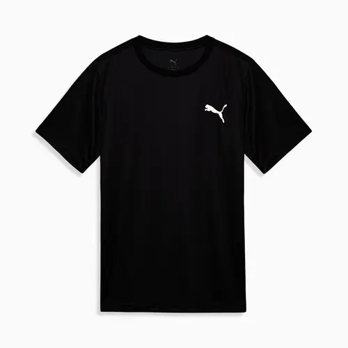 Camiseta Puma Essentials Small Logo Poly Tee Masculina