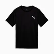 Camiseta Puma Essentials Small Logo Poly Tee Masculina