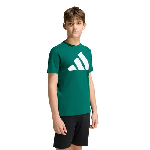 Camiseta Adidas Essentials Big Logo Infantil